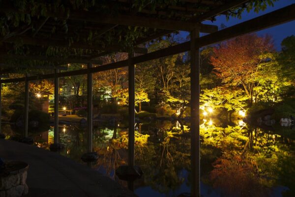 しあわせの村日本庭園　紅葉のライトアップ