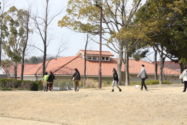 令和7年度　お散歩診断　