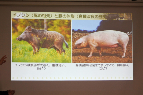 獣医師の世界を体験しよう！（私たちの暮らしと動物との関わり）小学生対象