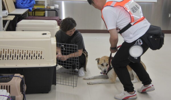 災害に備えた犬のしつけ方講座※犬の同伴可