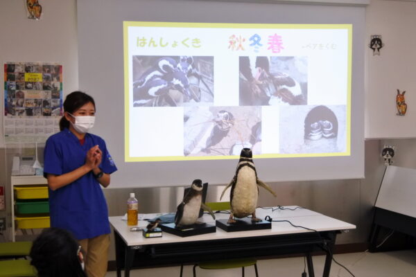 獣医師の世界を体験しよう！「海の生き物を知ろう」（小学生）