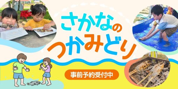 さかなのつかみどり