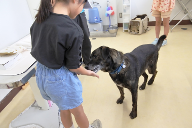 こうべ動物共生センターサマースクール(小学3年生以上）