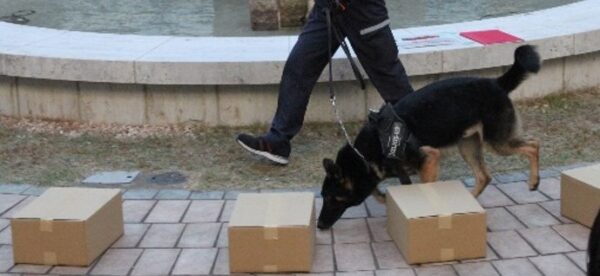 動物のプロに学ぶ～「麻薬探知犬の仕事を知ろう！」