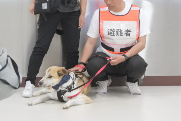災害に備えた犬のしつけ方教室※無駄吠えについて