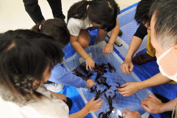 オータムスクール（小学3年生～6年生）/こうべ動物共生センター