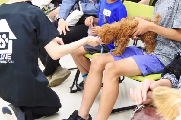 子犬のしつけ方相談会