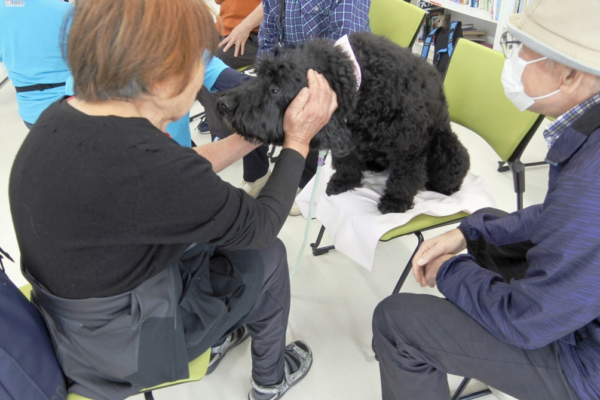 犬とのふれあい体験（高齢者向け）